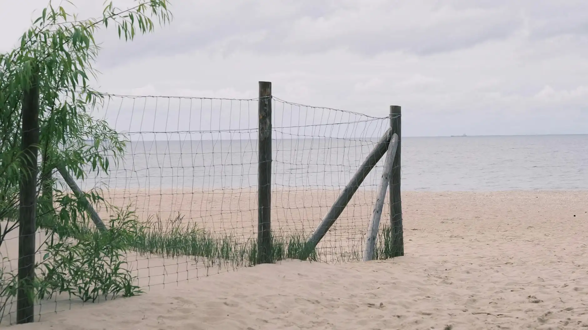 Алексей Смирнов Portfolio 4